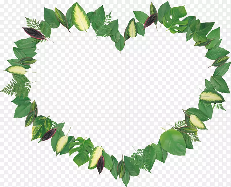 Ҷ���������.ƴ��-������