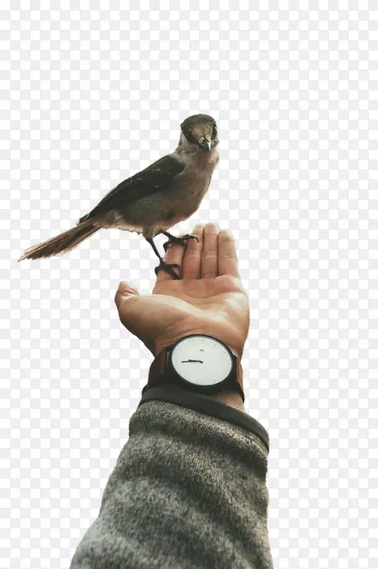 �񲩿���Ŧ��-⨺�����-������