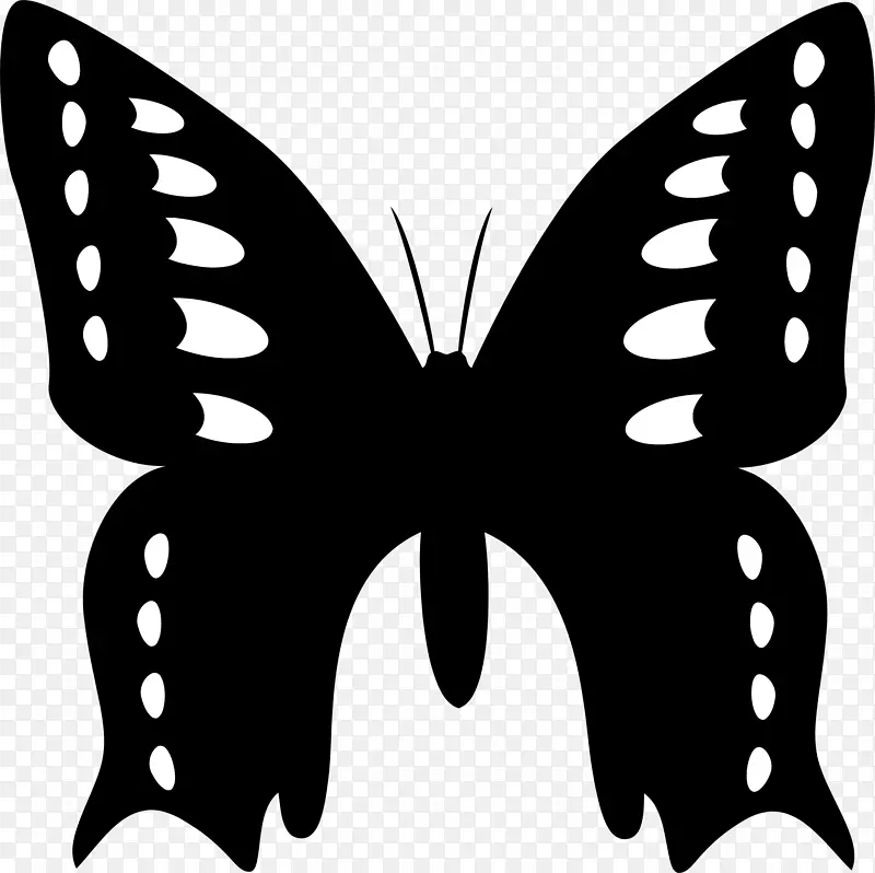 ����������-����-������