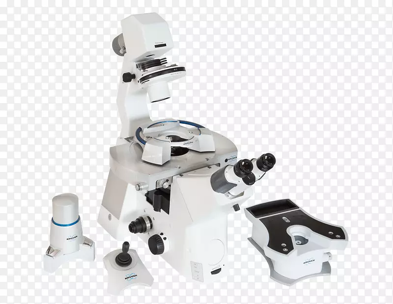 ԭ������΢����ѧ������ѧ��΢��-������