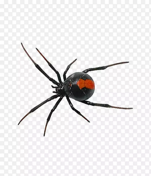 ֩���Ϸ��ڹѸ�����������-������