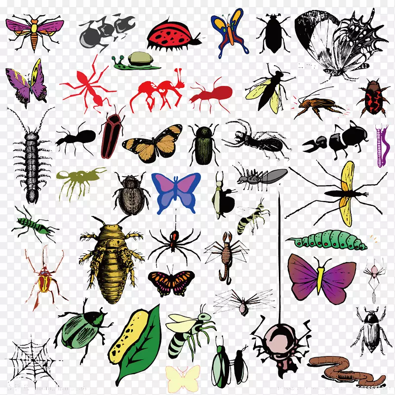 ����������ڼ׳�����-������