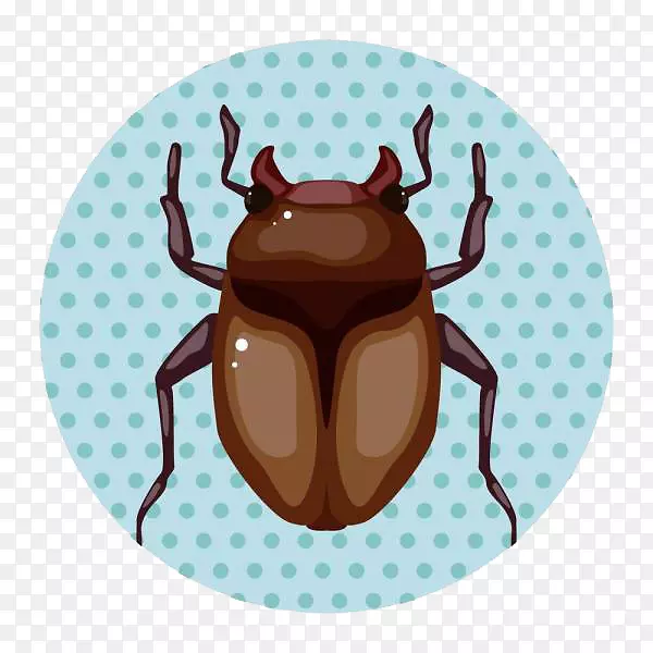 ���濨ͨ��ͼ-�����©��-������