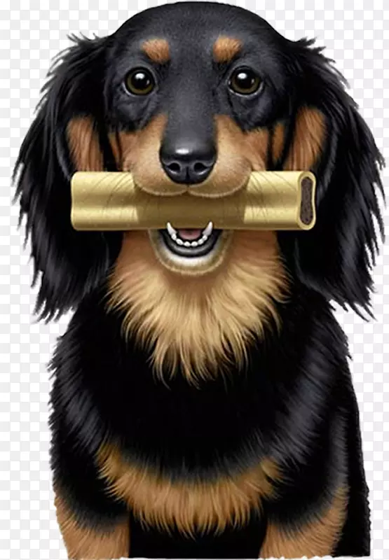 ���͹�-������