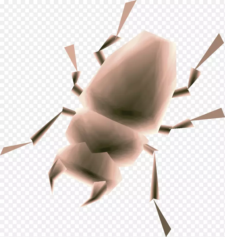 ���洫�۶����޼�׵���ﻨ��ģ��-������