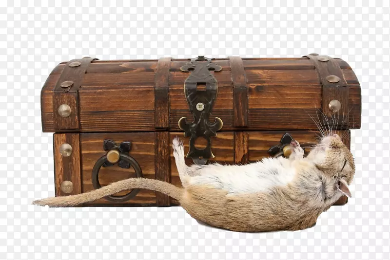 �����װʱ��-���������-������