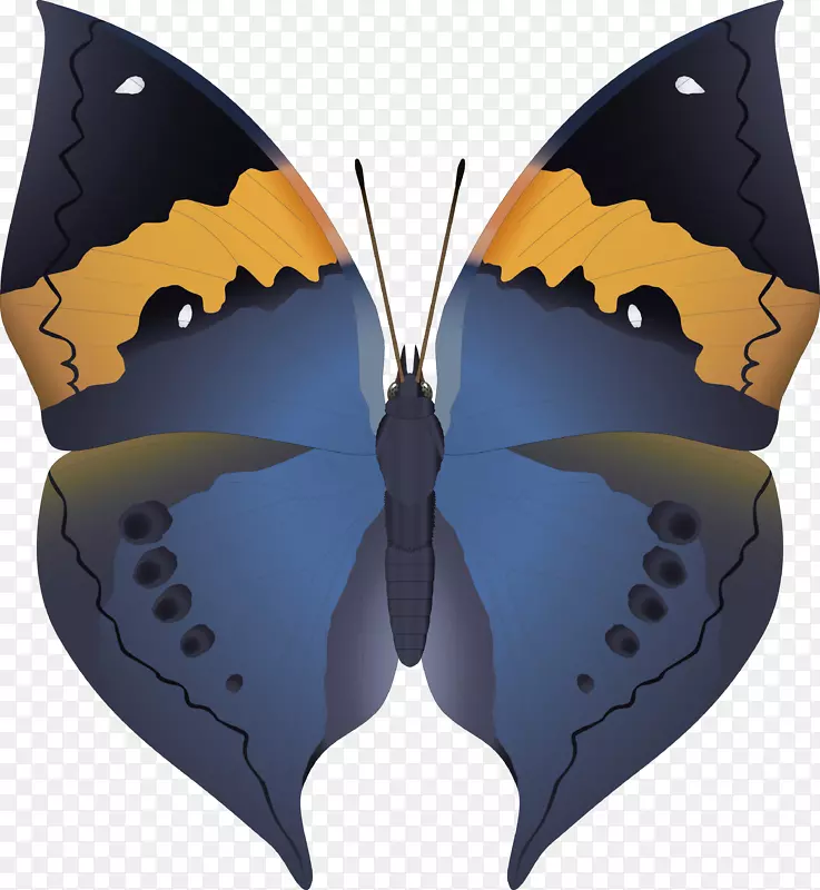 ���������桢�����ߡ�����ơ����-������