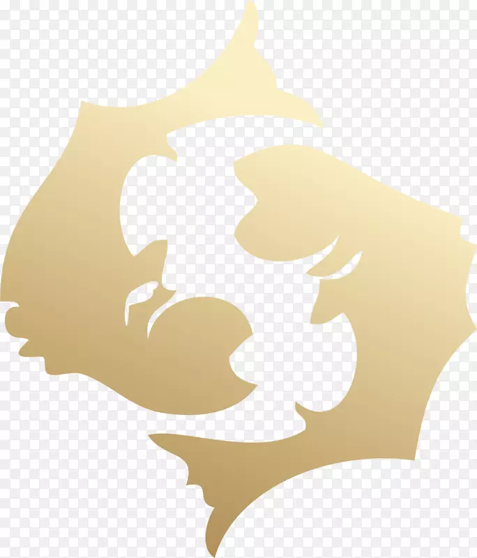 ����˫����ռ����˫����-������