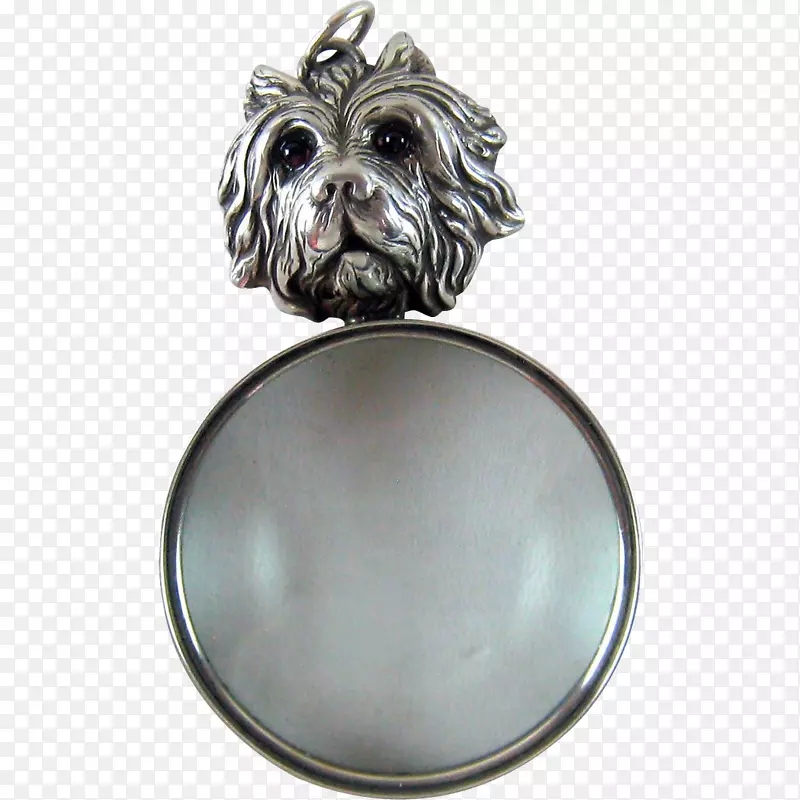 Ȯ���鱦������-��Ҷ��-������