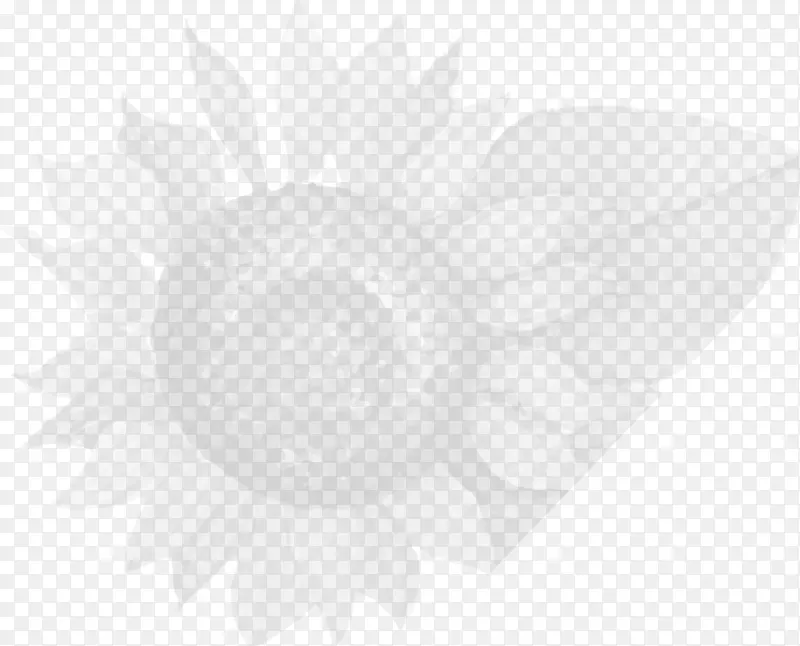 ����ɫ����-�ʾ�-������