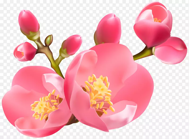 ͼ������.����-������