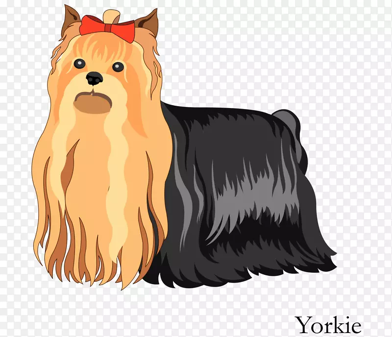 Լ�˿���Ȯ�Ĵ�����˿״��Ȯŵ������Ȯ�Ĵ�������Ȯ�������տ��տ�ͨ�ֻ�ɰ���Լ�˿���Ȯ-������