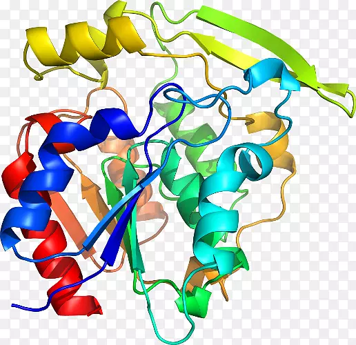 �ߵ����������-ľ��-������