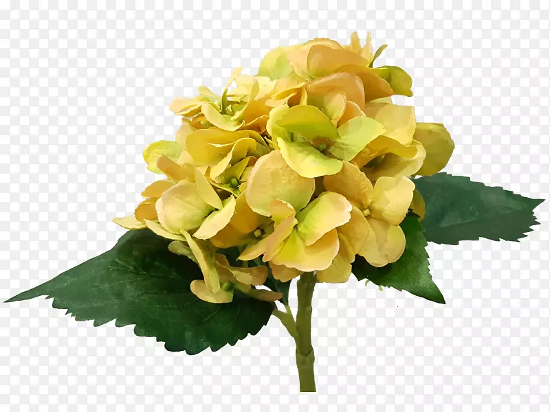 �˹��л�������������-������