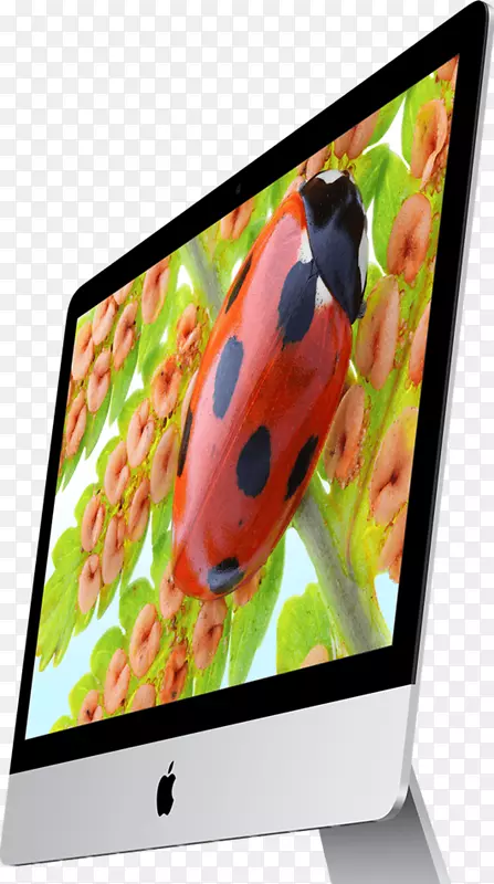 MacBookpro imacƻ��Ӣ�ض�����i5̨ʽ����-imac-������