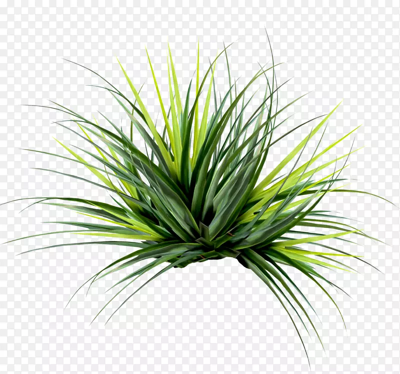 RAR������-�ȴ�����-������