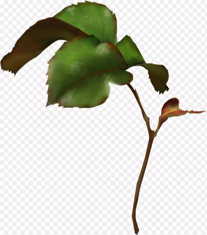 ��Ӱ�������ݹ�-������