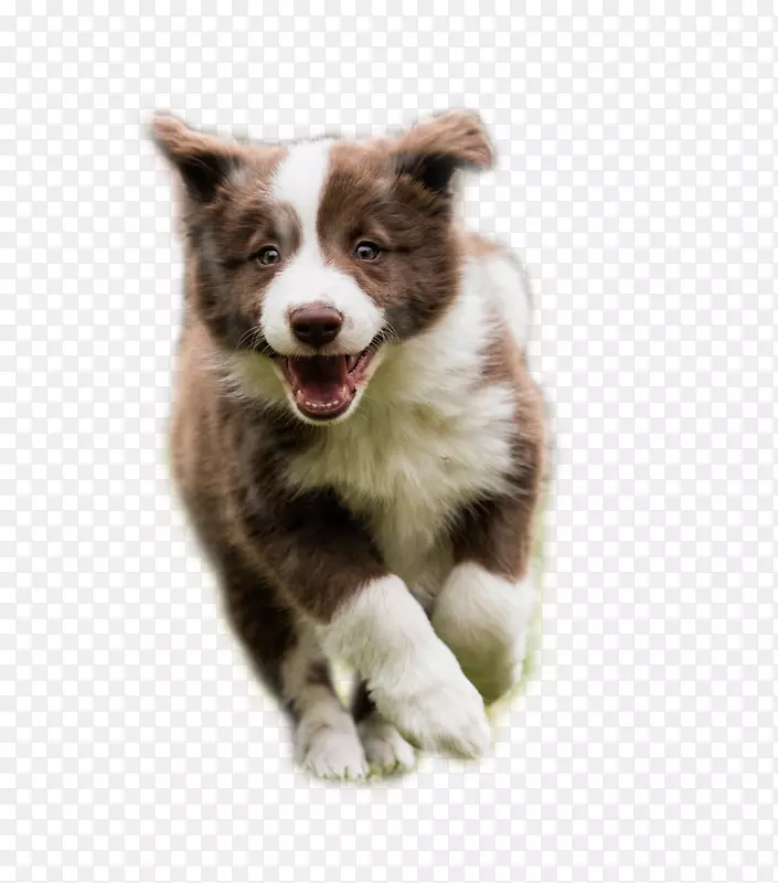 �߾�����Ȯ-������