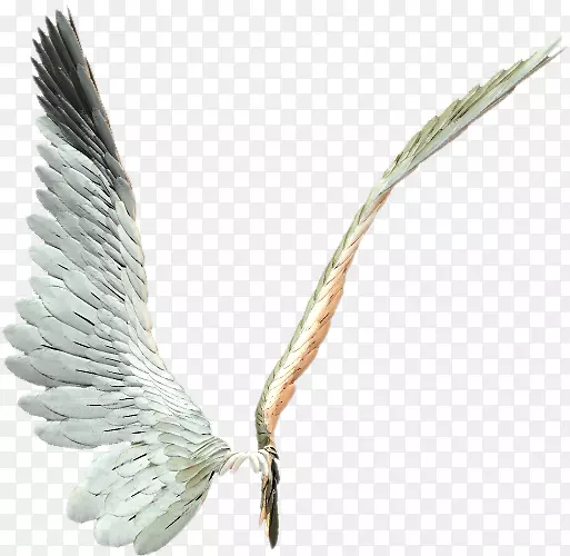 ������-������