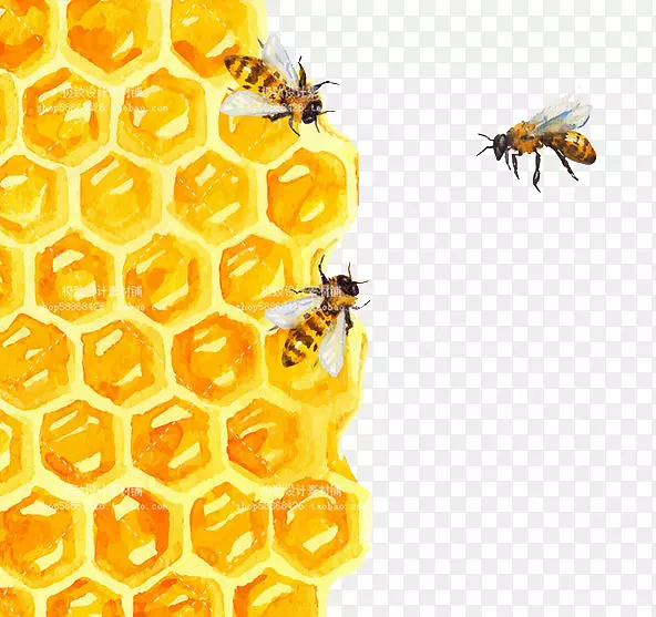 �۷�䳲ˮ�ʻ���ͼ-�۷�-������