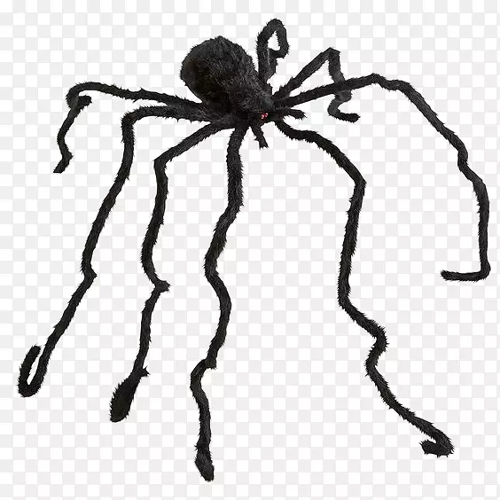 ֩����֩��-������