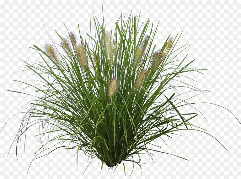 ֲ����ʴ�����������ǲ�����-������