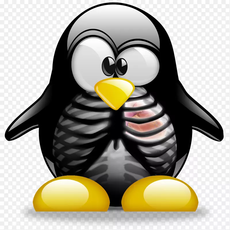 ��β����칭linux-linux-������