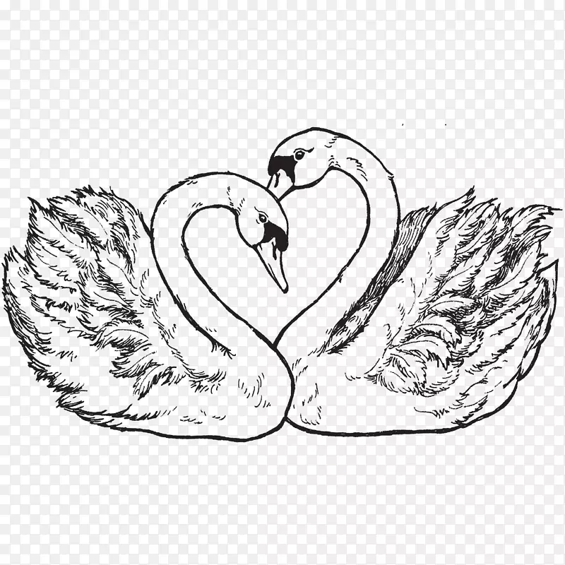 �������뺯������Ӱ������-����-������