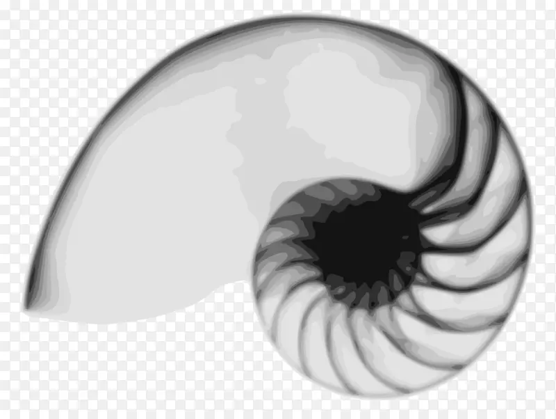 ��Ÿ���������-��Ӱдʵ-������