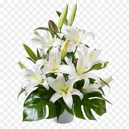 ������ƻ����л�.��Լ-������