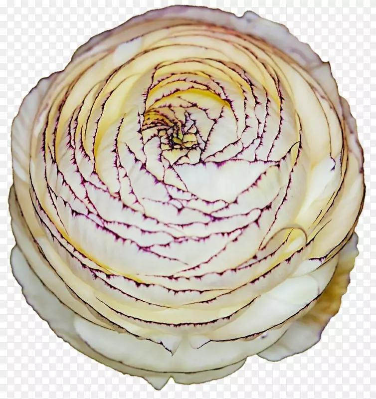 �;�.����-������