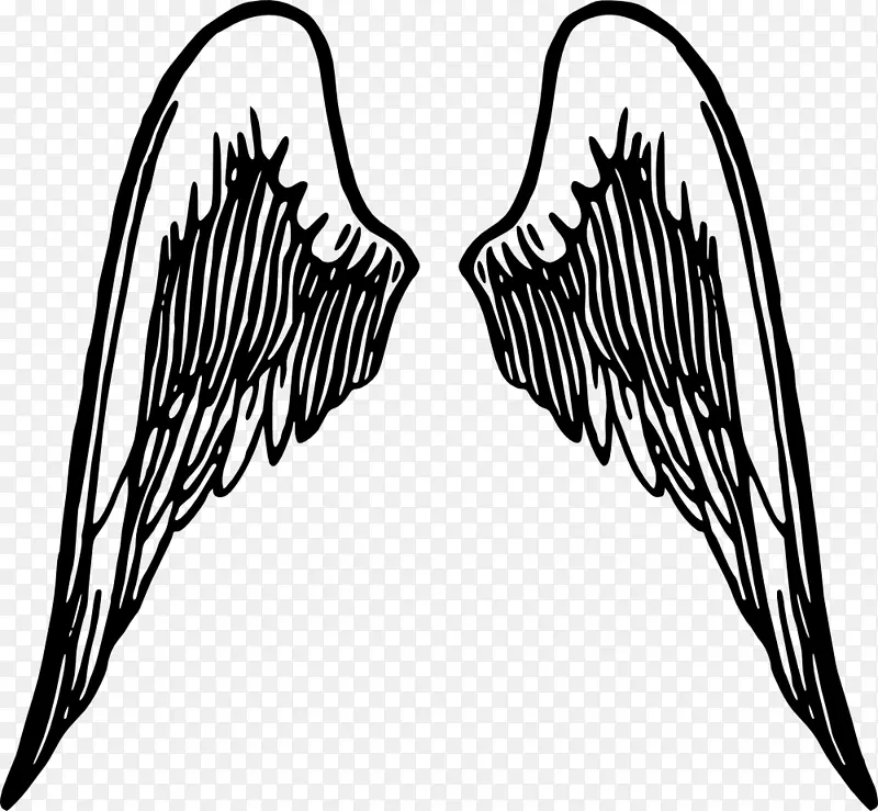 ��ʹ��������-��������-������