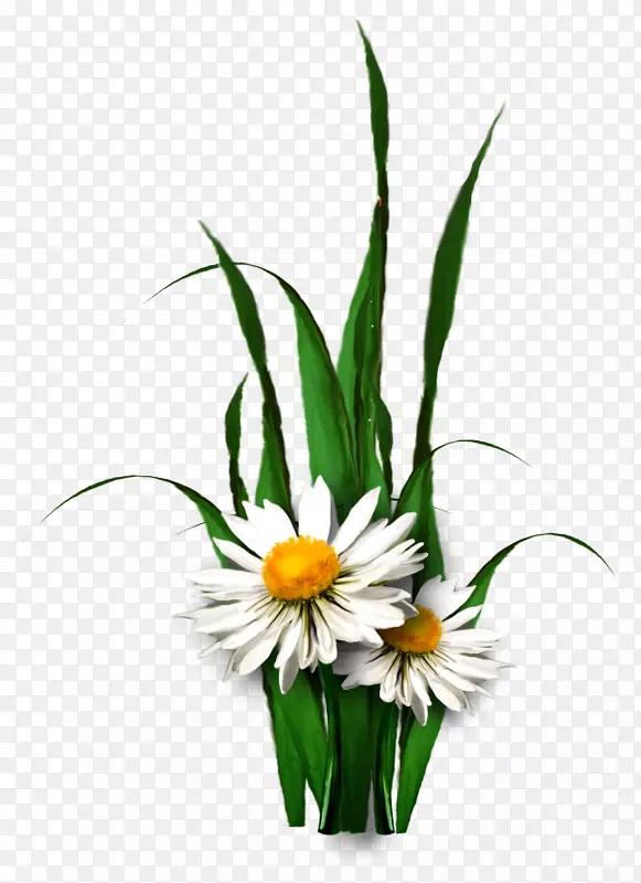 �л���Ƽ�����-����װ��-������