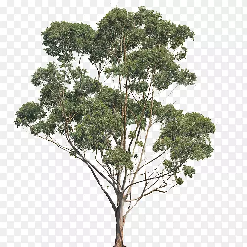 ���Ĵ����ǲ���ݸ����˼�԰ʷ�ٷ��Ī�Ὠ���²����-����-������