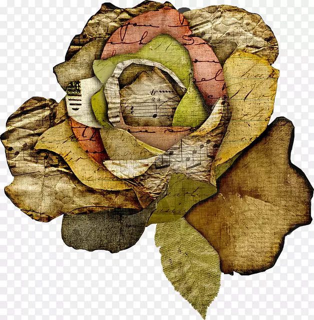 ����Ҷ�������׺-������