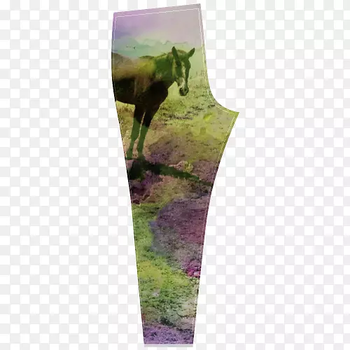 ޹�²�����������.ˮ����-������