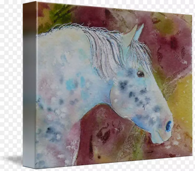 ˮ�ʻ�������ˮ�ʻ���-������