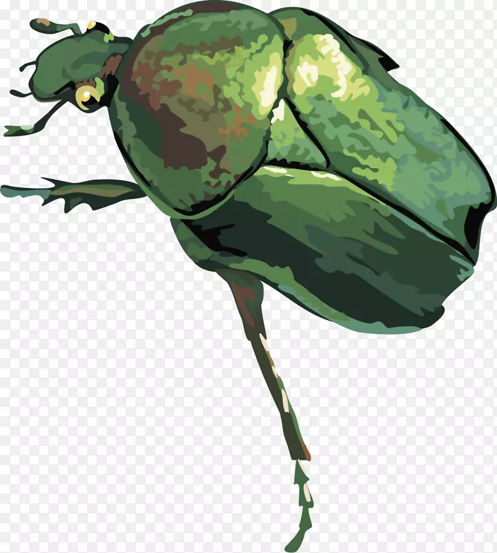 �׳�-�׳�-������