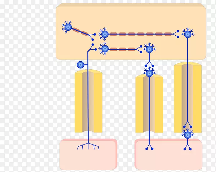 ������ϵͳ����Χ��ϵͳ����������ϵͳ��������ϵͳ-������ϵͳ-������