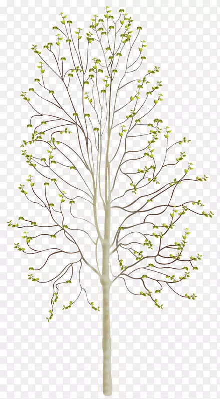 ľ��ֲ�ﾥ����-��ѿ-������