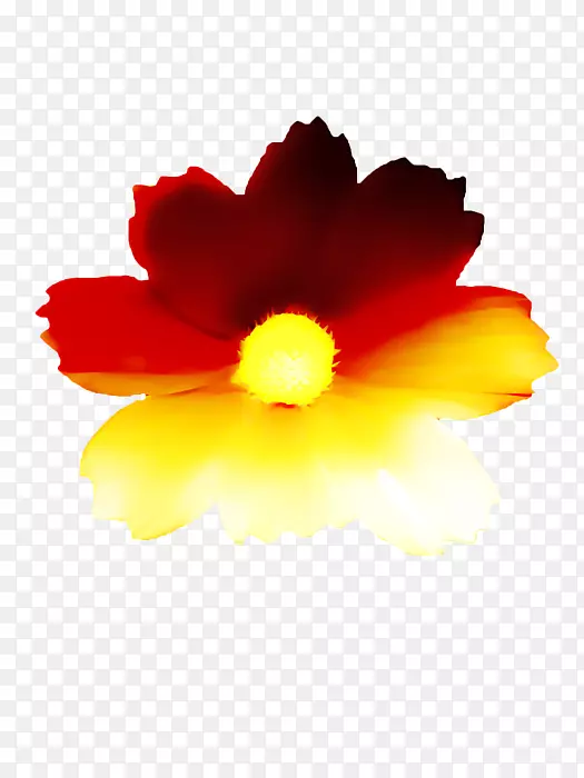 ľ�Ȼ��꿪��ֲ��-Ư����-������