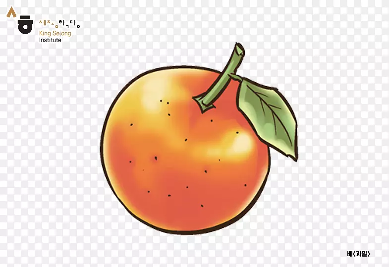 ʳƷ��ʢѧԺ�����߲�-���˵�-������