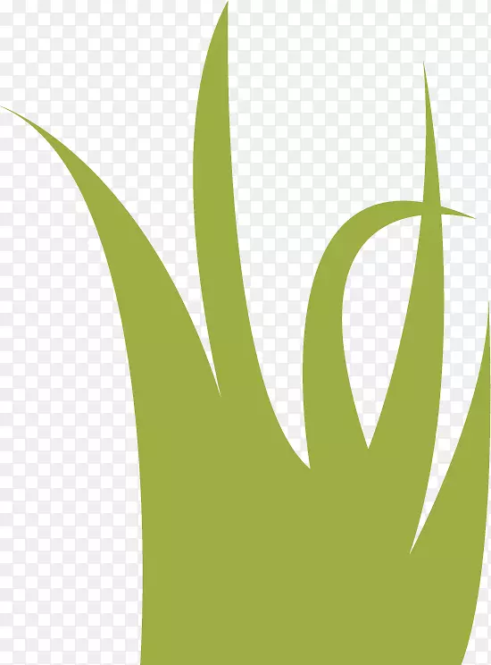 Ҷ��ݺ���-������