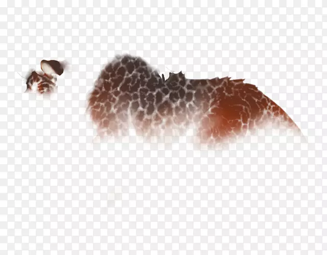 ����Ұ���������ëƤ����-������