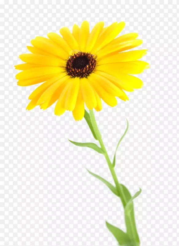 �ջ��ջ�-������