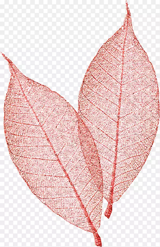 Naver������Ϣ-RSS-������