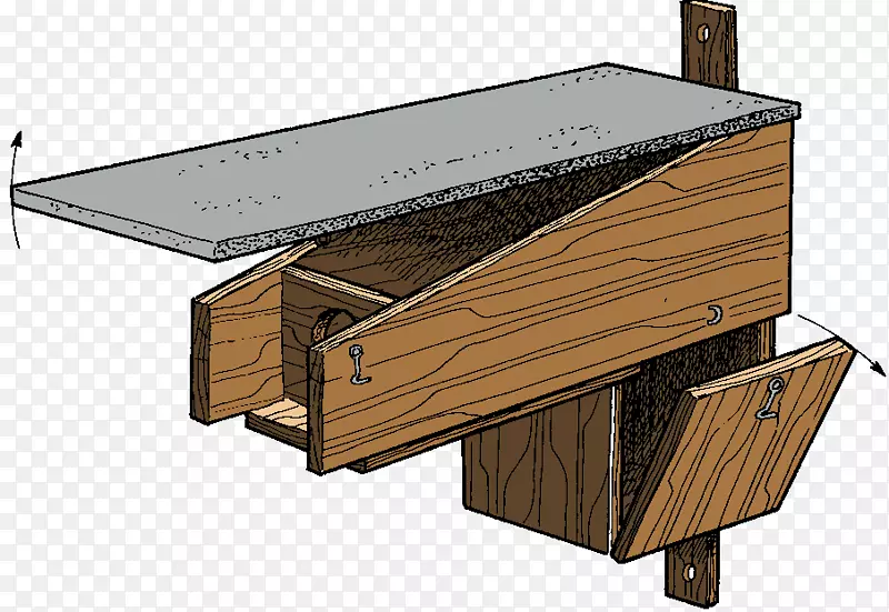 ȸ��ŷ�������ڻ�ëèͷӥ����Сèͷӥ-��װ��-������