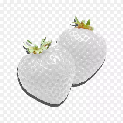 ��ѧ���������ڰ���ɫ�ɽ�-������