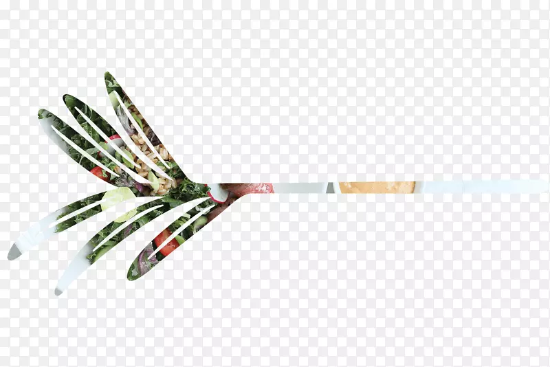 �߲;߲�-����һ������ļ���-������