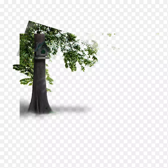 ������-������